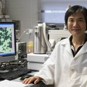 Ya-Jane Wang is a professor of carbohydrate chemistry in the department of food science. (UA System Division of Agriculture photo by Fred Miller)
