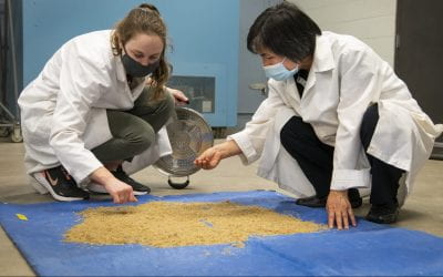 Parboiling with Reduced Water Improves Nutrient Content of Rice