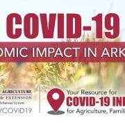 COVID-19: Economic Impact in Arkansas