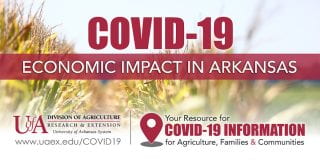 COVID-19: Economic Impact in Arkansas