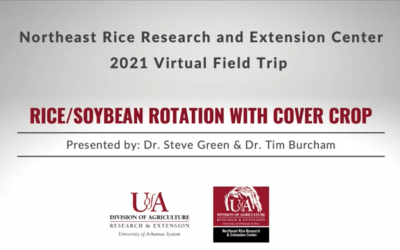 Rice/Soybean Rotation with Cover Crops