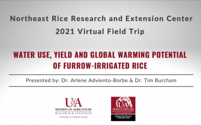 Water Use, Yield and Global Warming Potential of Furrow-Irrigated Rice