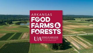 Ark Food Farms Forests