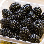 blackberries in a clamshell container