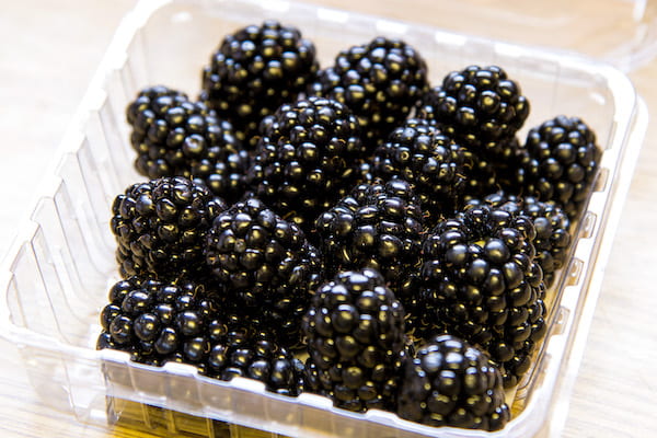 blackberries in a clamshell container