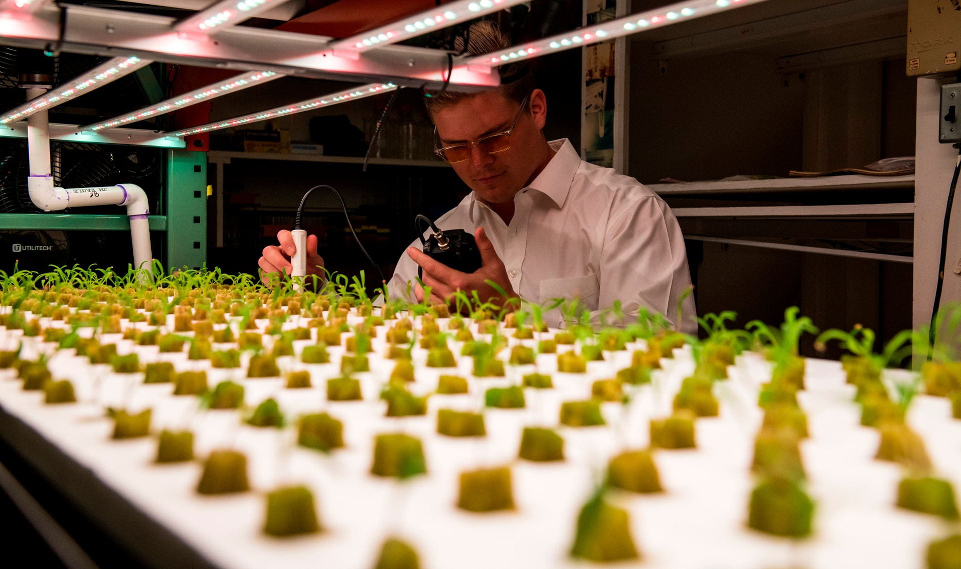 Man wearing glasses and white lab coat uses instrument to test plant seedlings lined in rows on a white vertical farming table.