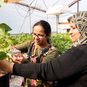 Two women stand side-by-side in a greenhouse. One is using an instrument to test a soybean plant