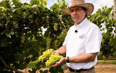 阿肯色州水果育种家约翰·r·克拉克回顾了在农业部42年的职业生涯