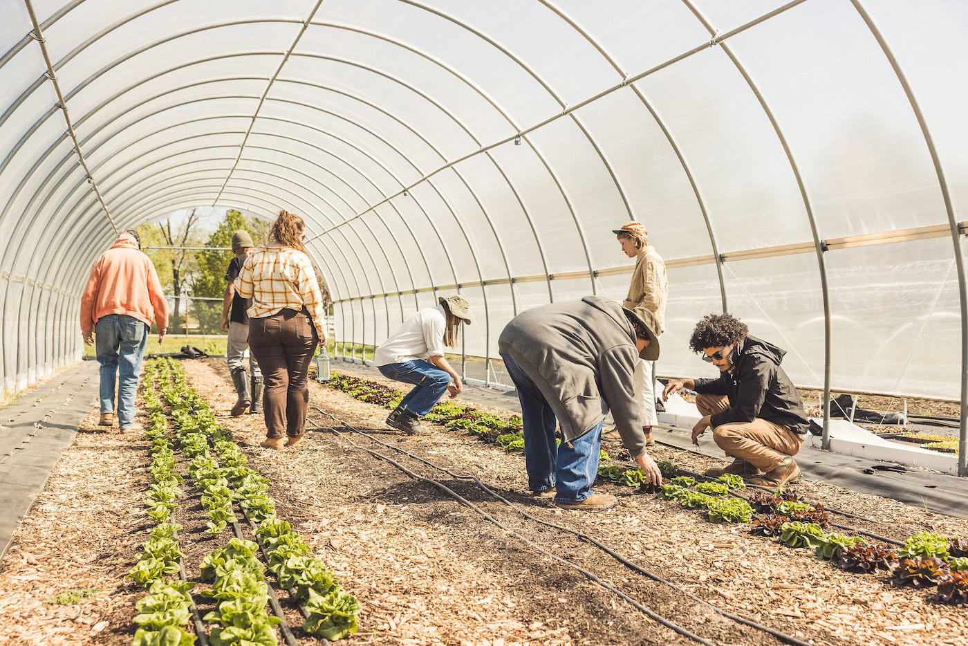 FARM SCHOOL — Farm School at the Center for Arkansas Farms and Food started back up in January. Public events will be held in March. (U of A System Division of Ag photo)