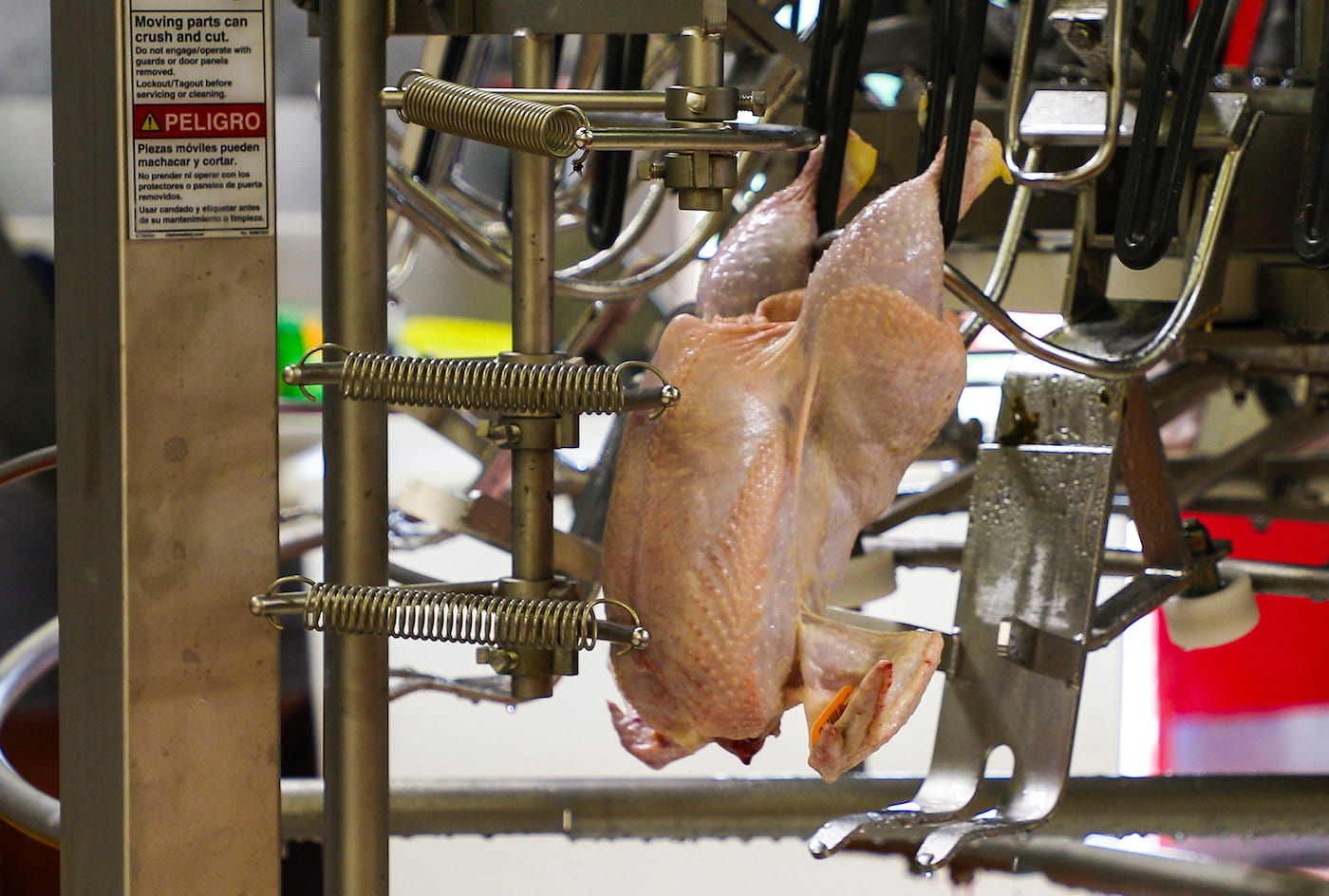COLLABORATION — The Center for Scalable and Intelligent Automation in Poultry Processing, established by a $5 million USDA-NIFA grant, aims to adapt robotic automation to the poultry processing industry. (U of A System Division of Agriculture photo)