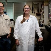 PARASITE CONTROL — Jeremy Powell, professor of animal science, and post-doctoral fellow Eva Marie Wray are investigating effective parasite control in Arkansas cattle. (U of A System Division of Agriculture photo by Fred Miller)