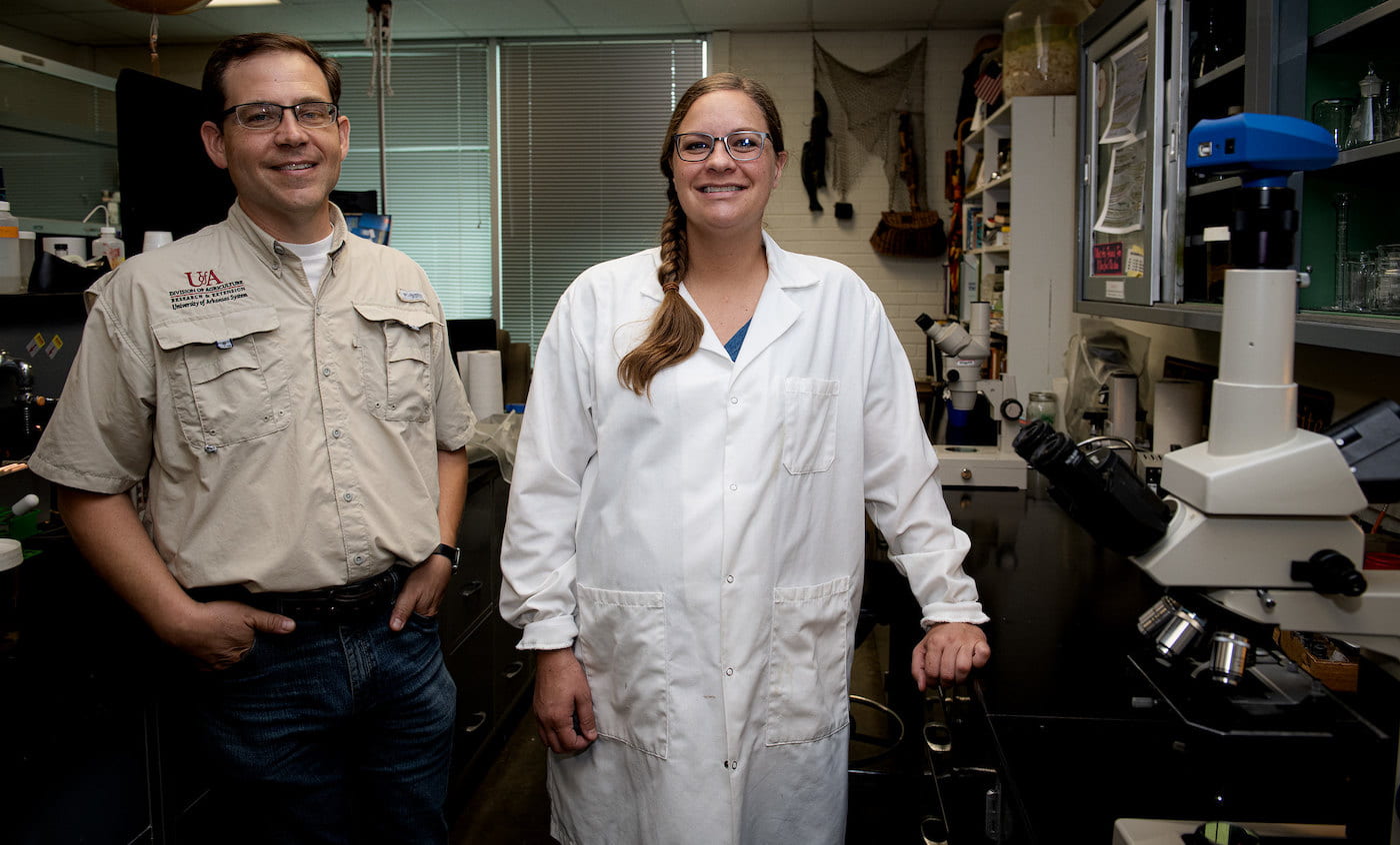 PARASITE CONTROL — Jeremy Powell, professor of animal science, and post-doctoral fellow Eva Marie Wray are investigating effective parasite control in Arkansas cattle. (U of A System Division of Agriculture photo by Fred Miller)