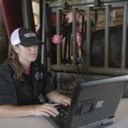 ULTRASONOGRAPHY — Brittni Littlejohn, assistant professor of animal science, and her graduate student, Carter Culp, conduct Doppler ultrasonography on the uterine artery of a pregnant cow.