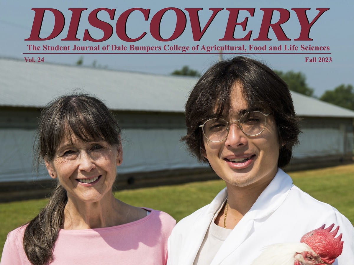 Research by Gisela Erf, left, Endowed Professor in Avian Immunology, and Alessandro Rocchi, University of Arkansas honors graduate in poultry science, is featured in the latest issue of Discovery journal.