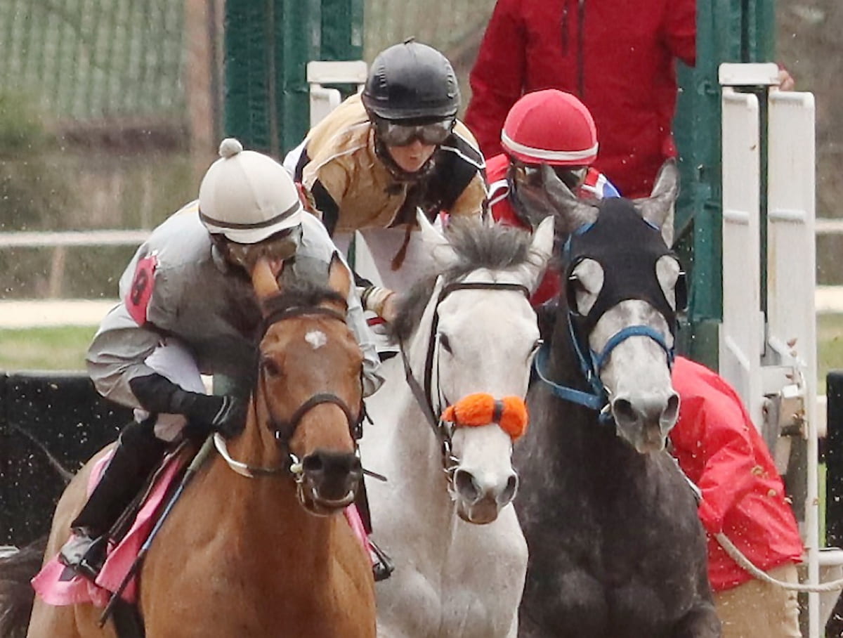 Horses spring from the starting gate at Oaklawn Park during a race on March 18, 2021.