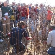 Division of Agriculture experts will be demonstrating the proper techniques for pruning fruit and pecan trees and grape vines during a March 6, 2024, workshop.