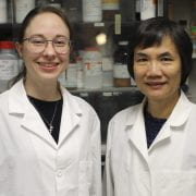 CLEAN LABELS — Annegret Jannasch, left, and Ya-Jane Wang, professor of carbohydrate chemistry, are looking at the components of pigmented waxy rice to serve as a "clean label" starch strengthener. (U of A System Division of Agriculture photo)