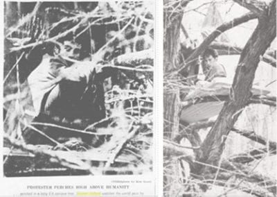 Stephen Pollard ignites multi-day campus protests from his perch in an on-campus tree. Courtesy University of Arkansas Digital Collections and Northwest Arkansas Democrat-Gazette NWAOnline Archive.