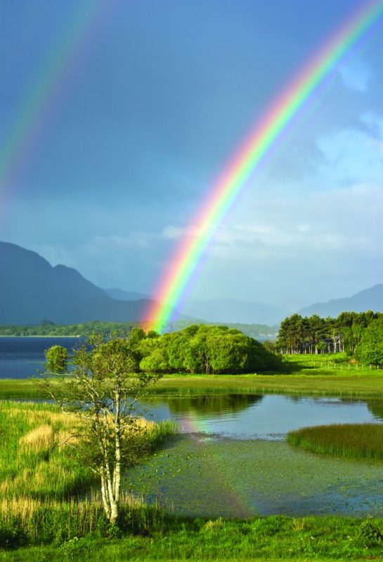 a rainbow over a pond and trees