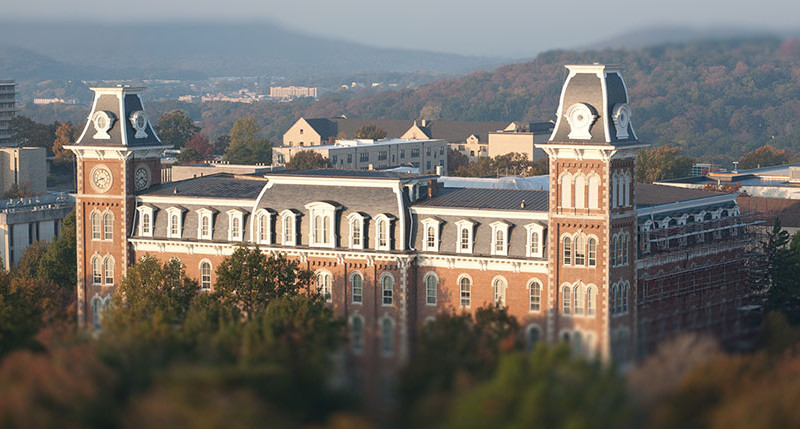 Ceballos Lab Moves To University Of Arkansas (Fayetteville)