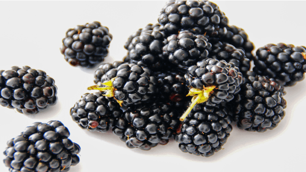 Blackberry Polyphenols and Their Role in Health Promotion