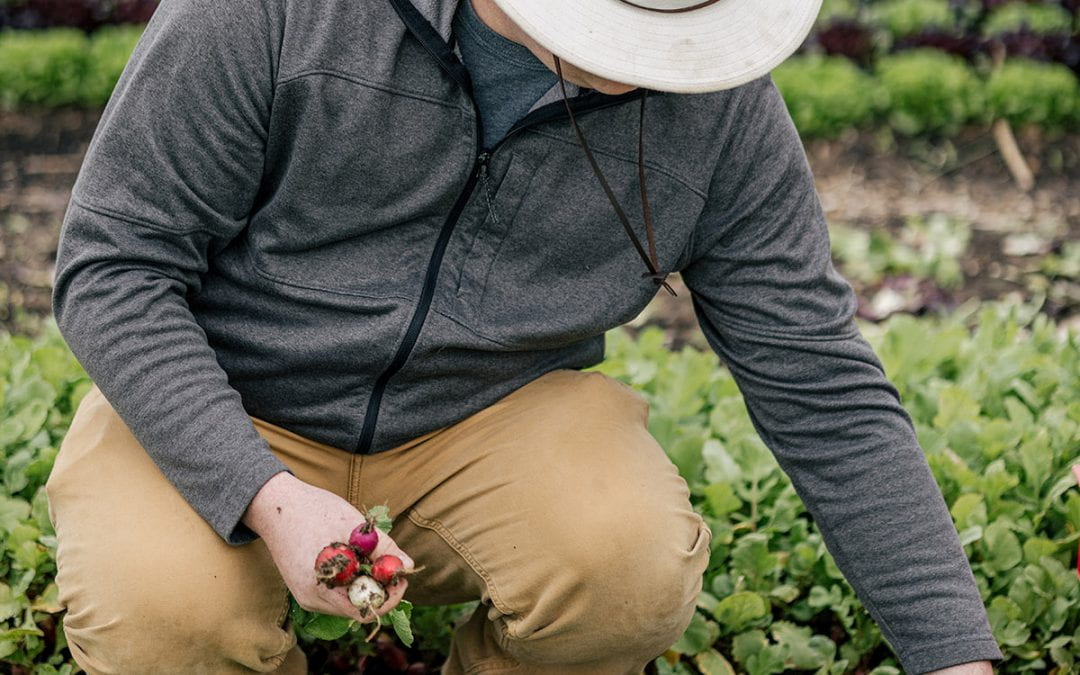CAFF student Brian harvesting while holding radishes