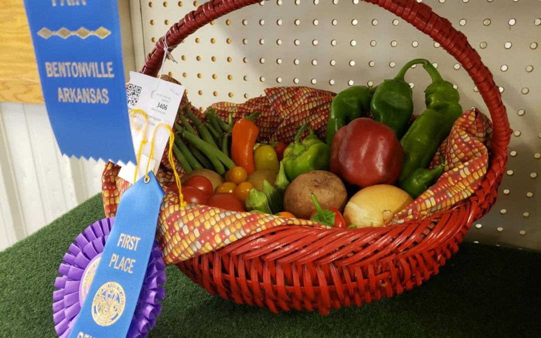 Benton County Fair Winners Receive CAFF Scholarships
