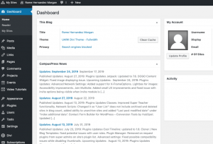 screenshot from WordPress dashboard