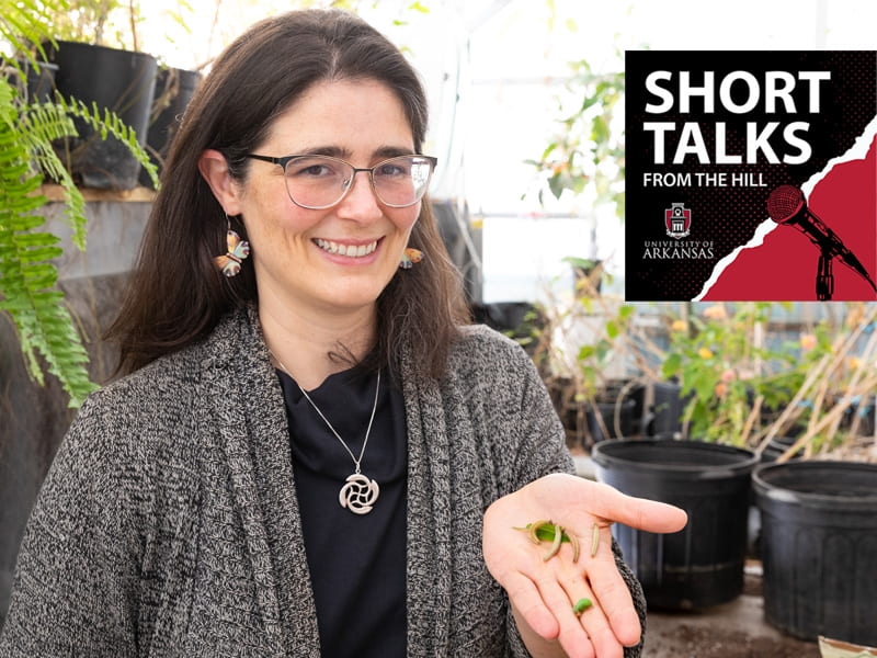 Westerman Discusses Visual Systems of Butterflies in Latest Short Talks from the Hill