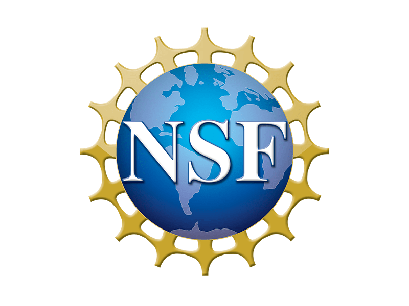 NSF Recognizes Seven U of A Students and Recent Alumni With Fellowships