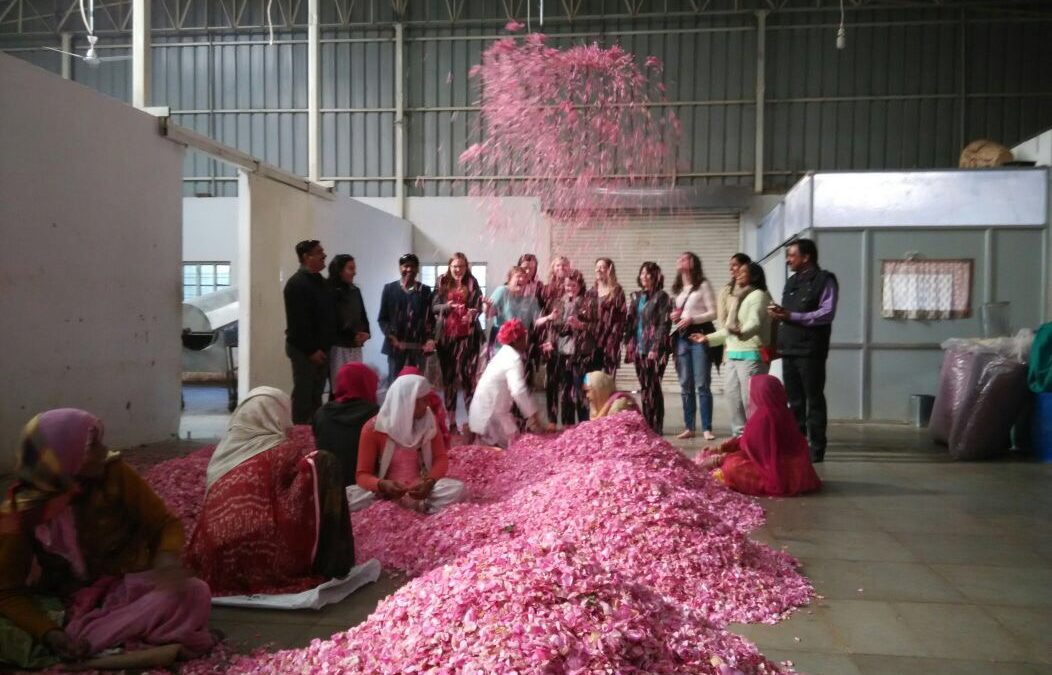 Govindgarh Greenhouses & Rose Processing