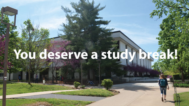 Study Breaks and Extended Hours at Mullins Library