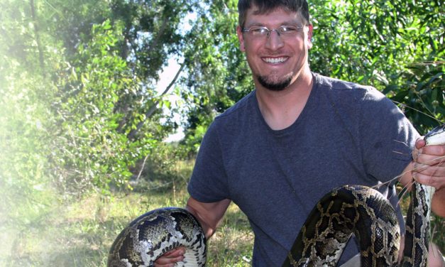 Strong Evidence That Invasive Pythons Are Altering The Everglades Ecosystem