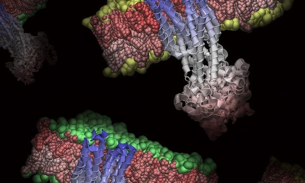 New Insight Into Cell Membranes Could Improve Drug Testing and Design