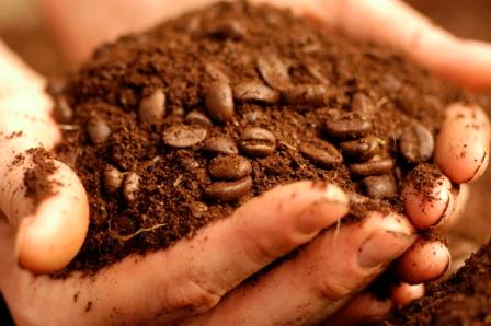 Wasteful Thinking group converts coffee grounds to fertilizer
