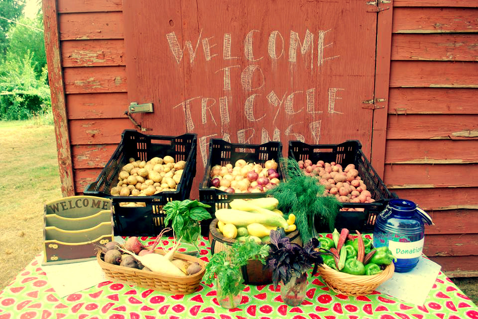 Sustainability in The Community: Tri Cycle Farms