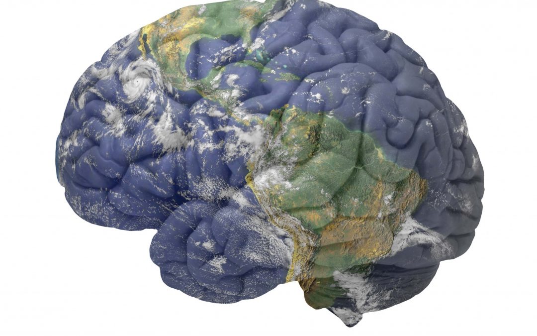 earth-brain