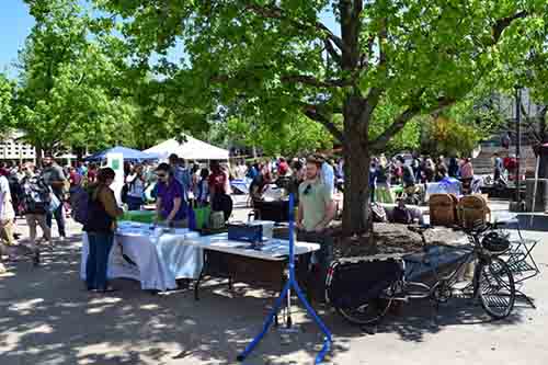 Earth Week Celebration Connects Students and Community
