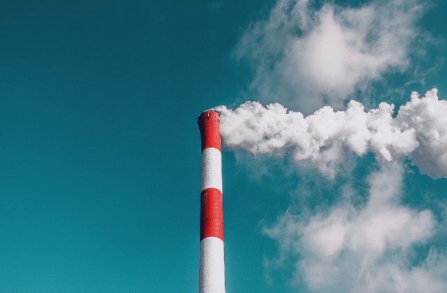 A Breath of Fresh Air: 4 Ways to Combat Air Pollution