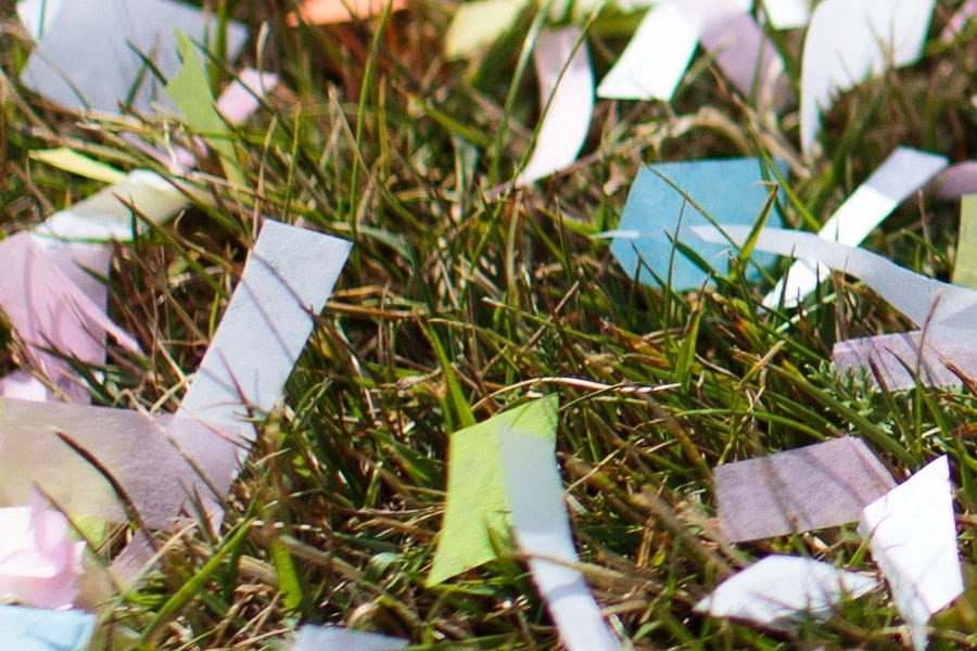 Celebrate the Green Way: Let’s Cut Out Confetti in Graduation Pictures