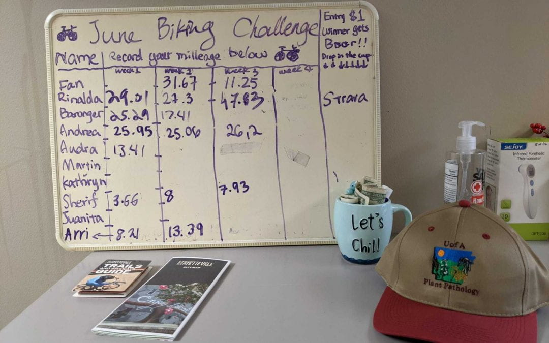 A whiteboard outlining the Entymology and Plant Pathology biking miles, propped up above a desk with a baseball cap, cup of pool money, and bicycle information.
