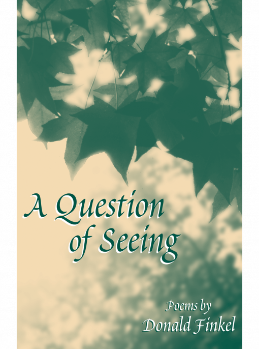 A Question of Seeing cover image