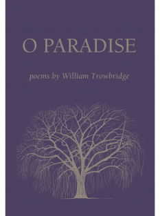 O Paradise cover image