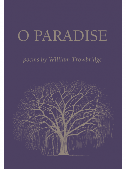 O Paradise cover image