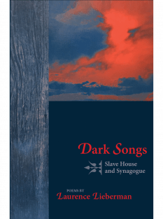 Dark Songs cover image