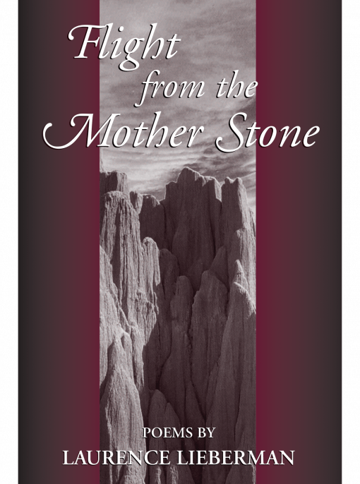 Flight from the Mother Stone cover image