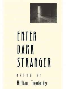 Enter Dark Stranger cover image