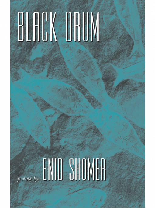 Black Drum cover image