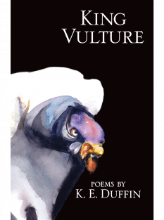 King Vulture cover image