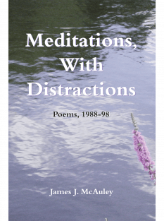 Meditations, With Distractions cover image